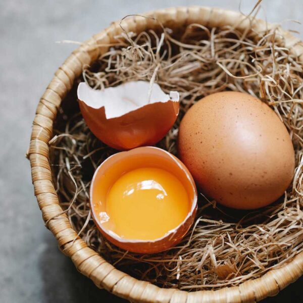 Farm Fresh Eggs