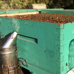 Spring Nucs
